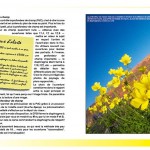 guide_nikon_D700_tauleigne Guide du Nikon D700 par Claude Tauleigne
