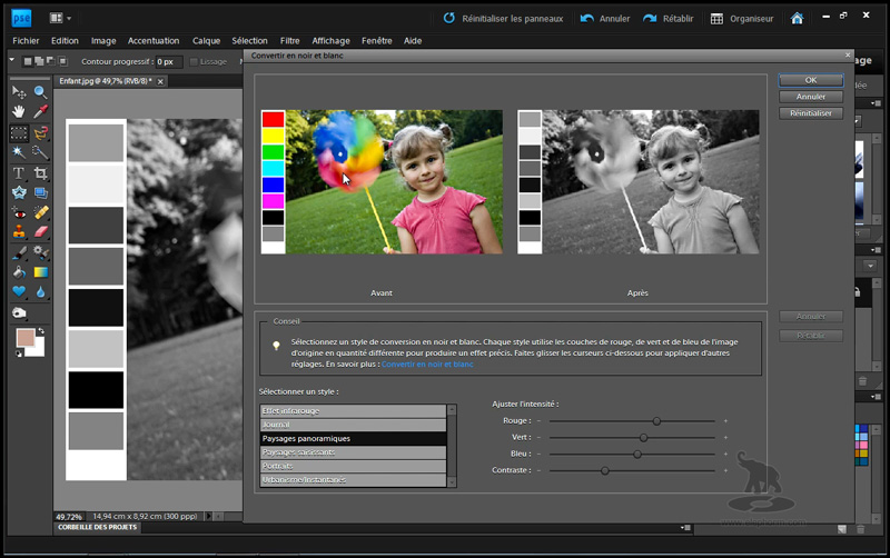 formation_photoshop_elements_9_conversion_NB Formation Vidéo sur DVD Apprendre Adobe Photoshop Elements 9