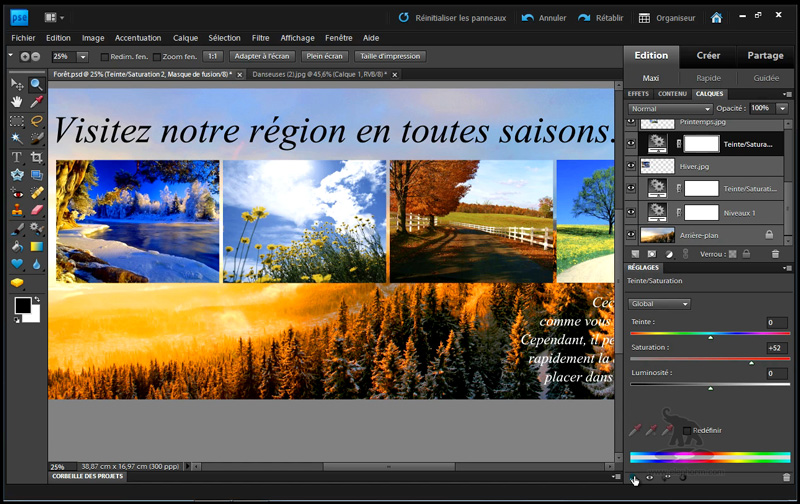 formation_photoshop_elements_9_mise_en_page Formation Vidéo sur DVD Apprendre Adobe Photoshop Elements 9