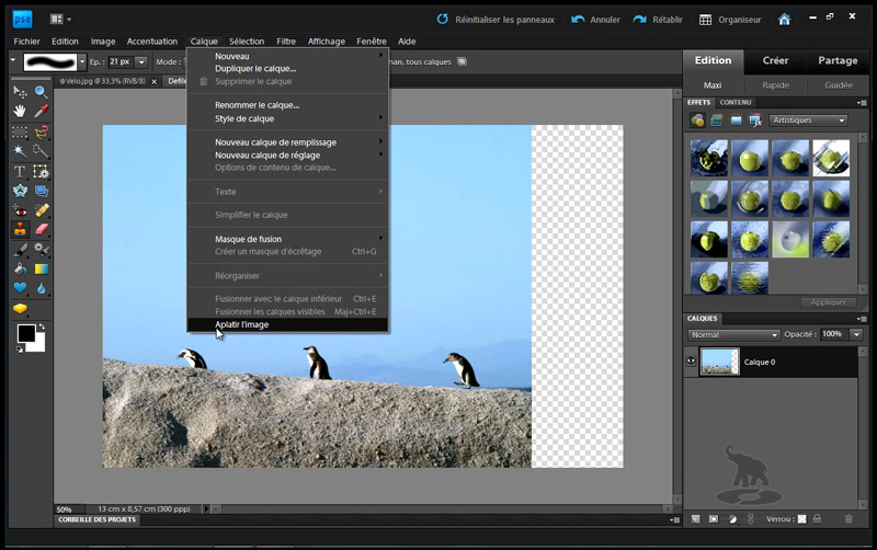 formation_photoshop_elements_9_recomposition Formation Vidéo sur DVD Apprendre Adobe Photoshop Elements 9