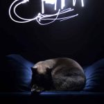 Comment faire du Light Painting ? Tutoriel vidéo