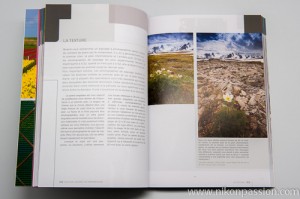Pratique de la composition – Bryan Peterson, le guide pratique