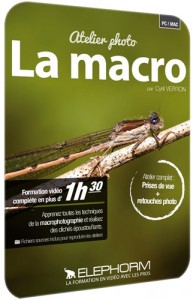 Formation Photo : la macrophotographie en vidéo avec Cyril Verron