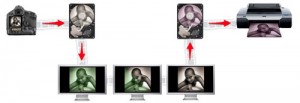Tutoriel photo : tout savoir sur la gestion des couleurs en photo numérique