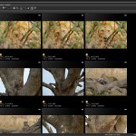 Nikon Capture NX-D