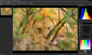 Nikon Capture NX-D : le renouveau de Capture NX2 sans les U-Points