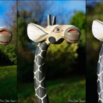 Comment choisir un objectif pour le portrait - comparaison des différentes focales