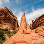 23 conseils pour réussir vos photos nature