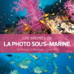 Les secrets de la photo sous-marine