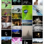 TOutes les photos déposées à l