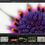 8 conseils pour traiter vos images nature avec DxO Optics Pro : le tutoriel pas à pas