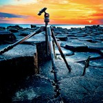 Trépied photo Manfrotto Befree Carbone
