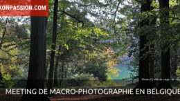 Meeting international de macro-photographie dans la réserve du Sart Tilman en Belgique