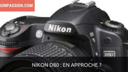 Nouveau Nikon D80