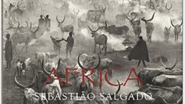 africa_sebastiao_salgado.jpg