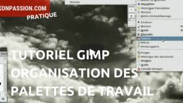 Tutoriel Gimp comment utiliser les palettes de travail