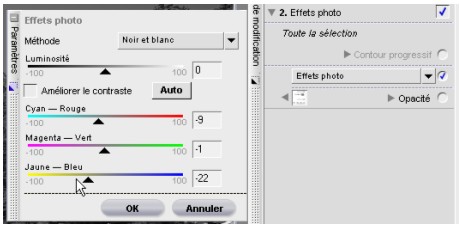 tutoriel nikon capture NX