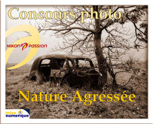 Concours_Photo_small