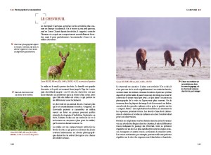 La Photographie animalière : le livre