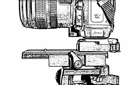 guide pratique de macro photographie