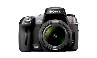 Sony Alpha-550 10 images par secondes