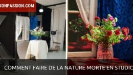 Comment faire de la nature morte en studio