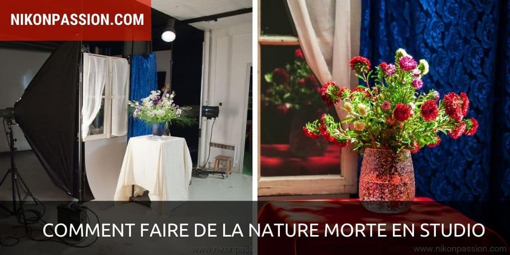 Comment faire de la nature morte en studio