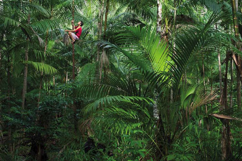 expo photo les gardiens de l'amazonie