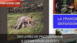 Livres de photographie en couleur à offrir pour les fêtes