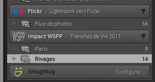 Plugin WSPP Impact pour Lightroom