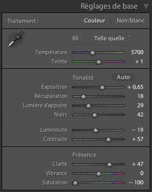 Tutoriel photo studio Noir et blanc courbe de réglage dans Lightroom