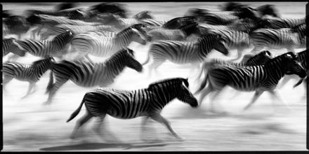 Atelier sortie photo Laurent Baheux MAP 2011 Toulouse Nikon