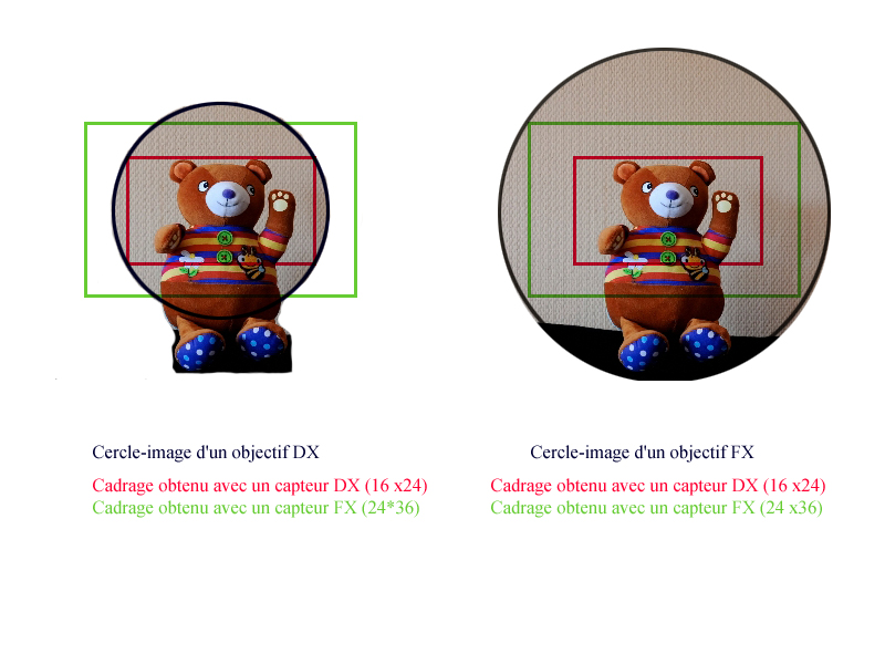 tableau de compatibilité formats DX vs FX Nikon