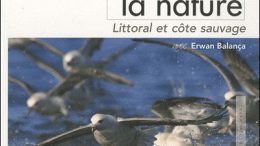 Photographier la nature, littoral et côte sauvage par Erwan Balança