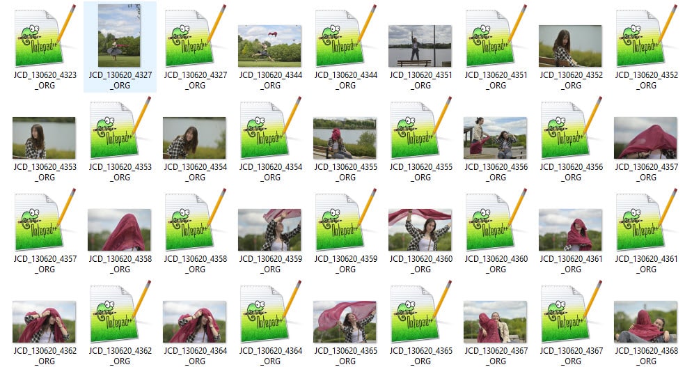 fichiers RAW Nikon (Nikon Electronic Format)) listés dans l'explorateur Windows