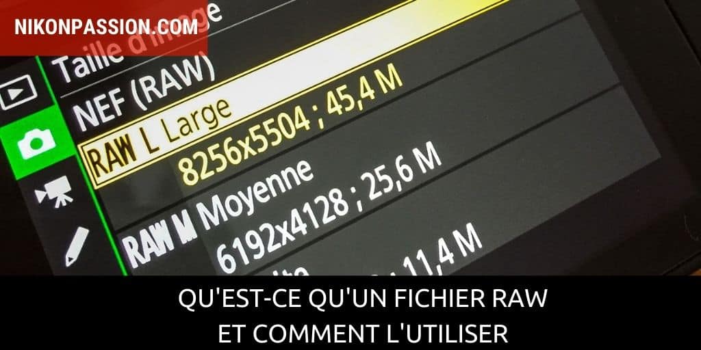 Qu'est-ce qu'un fichier RAW et comment l'utiliser ?