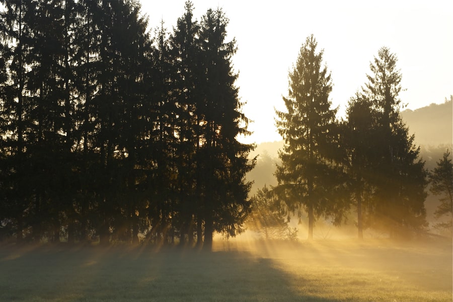 Barenthial dans les Vosges