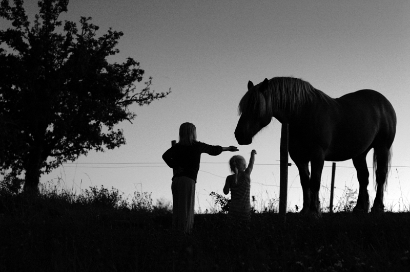 Rencontre avec Bertrand 'Enzo' Ansel - Photographe