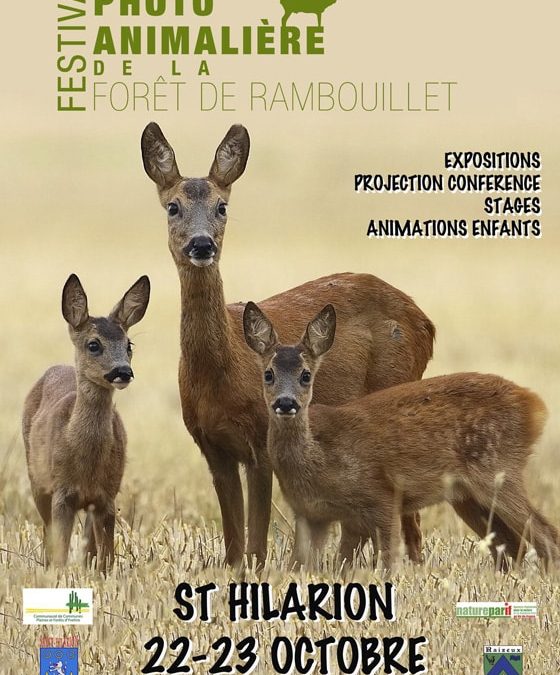 festival_photo_animaliere_rambouillet_2011.jpg