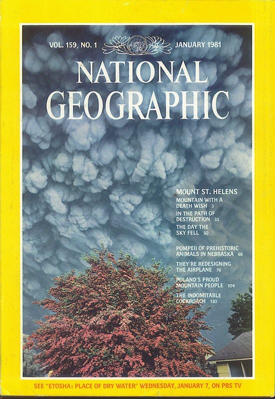 National geographic janvier 1981 éruption mont st-hélène robert landsberg