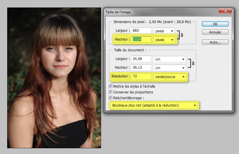 Comment redimensionner des images dans Capture NX2 ou Lightroom 3 Nikon Passion
