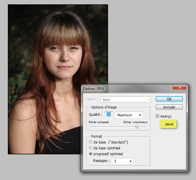 Comment redimensionner des images dans Capture NX2 ou Lightroom 3 Nikon Passion