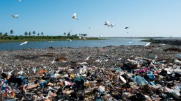 julien_gerard_reportage_photo_mbeubeuss_dakar_senegal.jpg