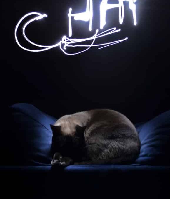 tutoriel_video_light_painting.jpg