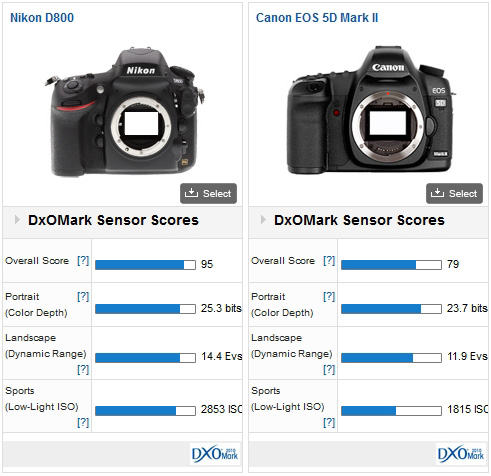 Comparaison Canon 5D Mark II - Nikon D800