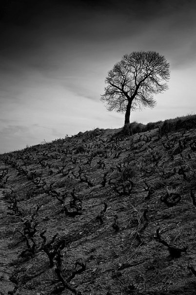 Rencontre avec Eric Martzloff, photographe et formateur photo