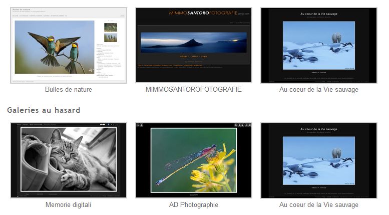 piwigo_exemples.jpg