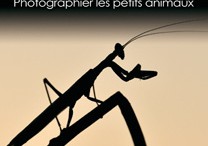 microcosmes_photographier_petits_animaux-couverture.jpg