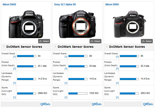 Comparatif capteur Nikon D600 - Sony Alpha 99 : le test DxO