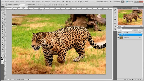 Tutoriel Photoshop : comment améliorer la netteté des images